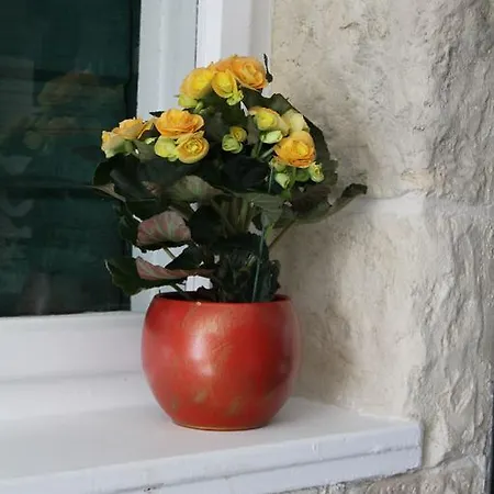 Lägenhet Spiro Split